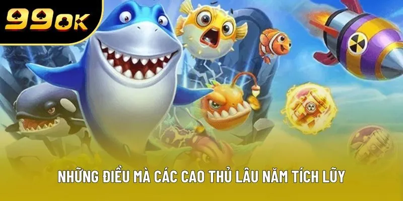 Những điều mà các cao thủ lâu năm tích lũy