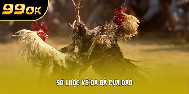 Sơ lược về đá gà cựa dao