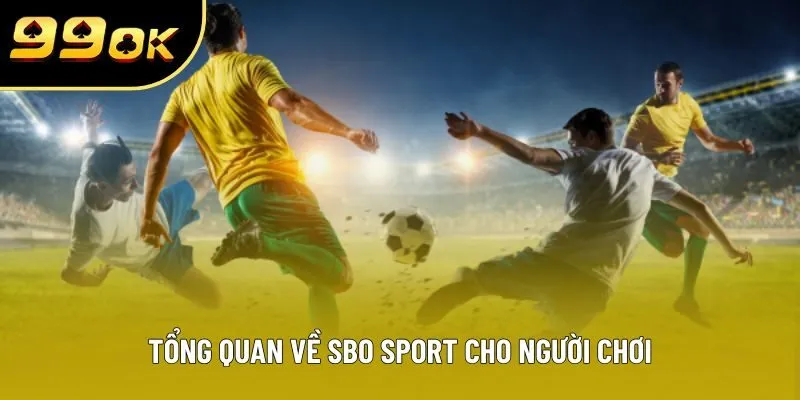 Tổng quan về SBO SPORT cho người chơi